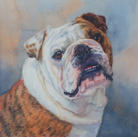 watercolor dog portrait of English Bull Dog by Edie Fagan Adored Dogs