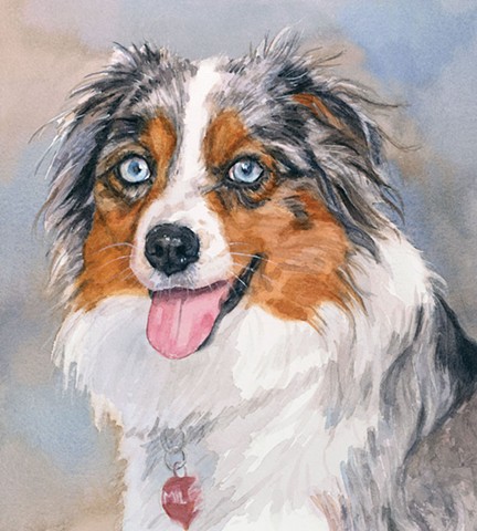 Australian Shepherd Watercolor Painting by Edie Fagan Adored Dogs