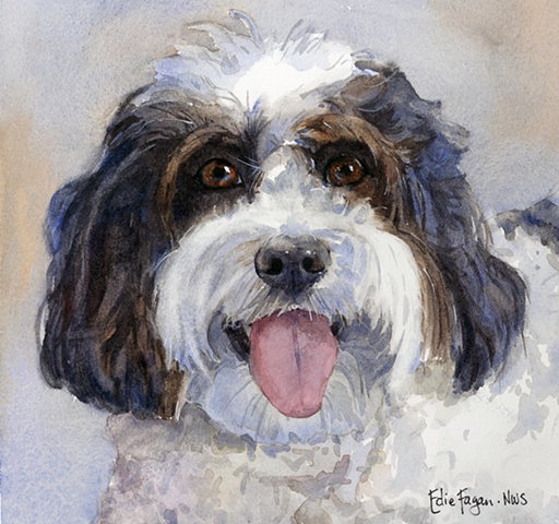 Edie Fagan Adored Dogs watercolor painting of dog watercolor painting of Daisy Dog mix