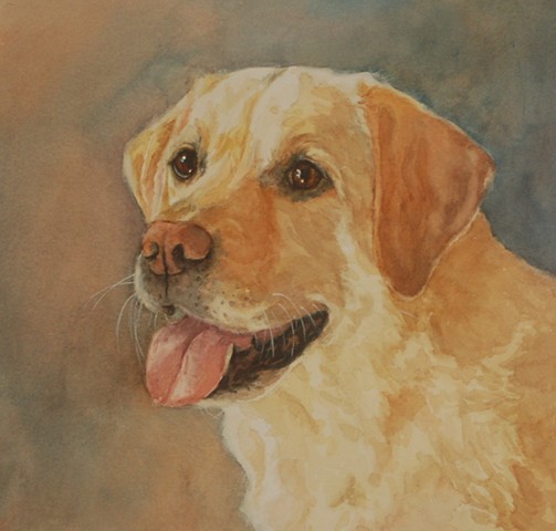 Labrador retriever dog watercolor painting by Edie Fagan Adored Dogs
