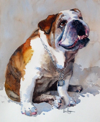 Edie Fagan Adored Dogs watercolor portrait of dog watercolor painting of English Bull dog bulldog