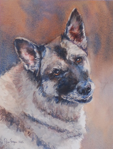 Edie Fagan Adored Dogs watercolor portrait of dog watercolor painting of German Shepherd drug sniffing dog