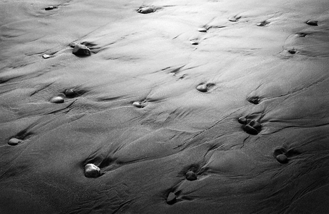 The Sands~
Low Tide Before Dusk,
Whaleshead Beach, Oregon
