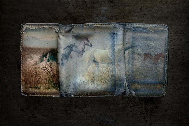 Old Wallet With Wild Horses