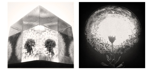 Flowers, In/With Glass, Diptych 