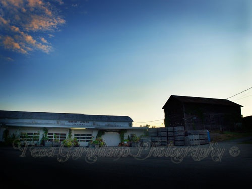 Jenkin-Lueken's Farm