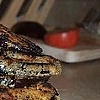 Corinna's Fried Eggplant 