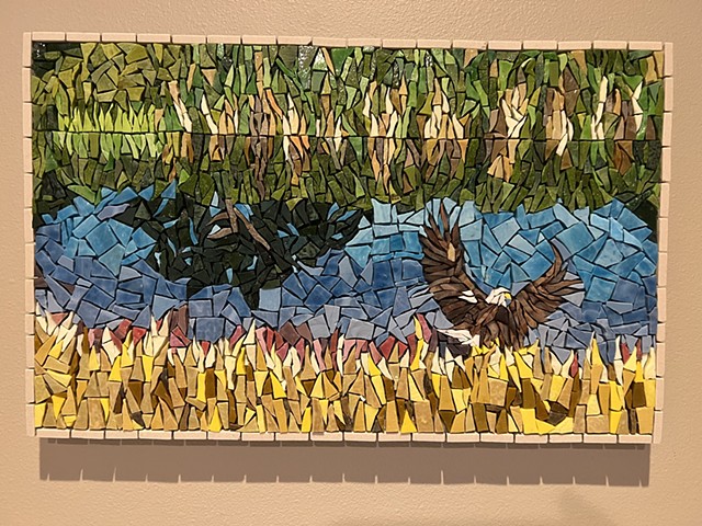 Eagle at spring pond 