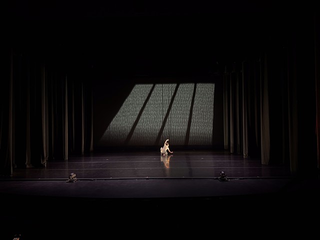 Collective Motion 2026