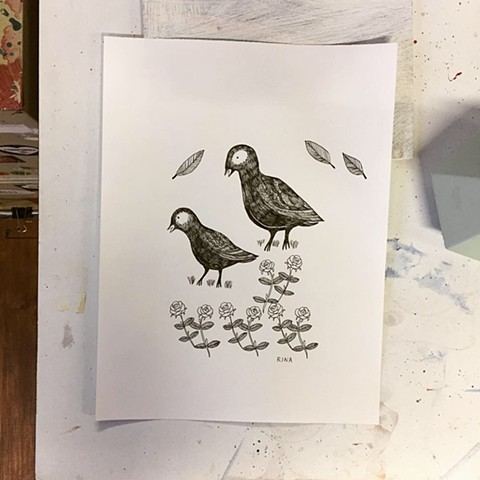 Birds, bird drawing, ink on paper, bird illustration, Studio Harpy, Rina Miriam Drescher, Rochester NY, Art, artist