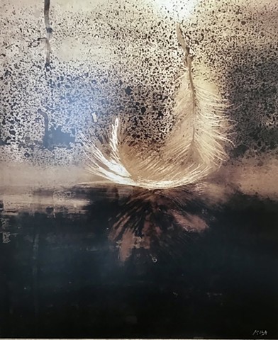 Feather reflection 1