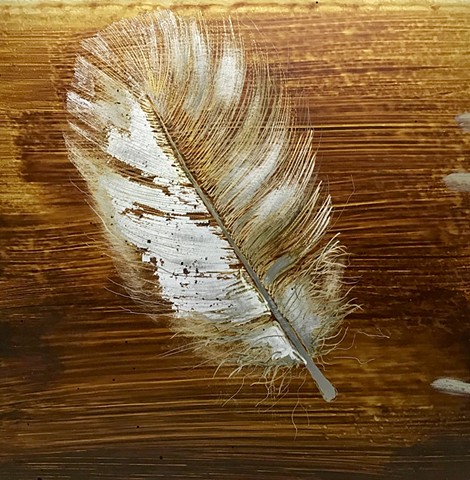 Feather sepia 1