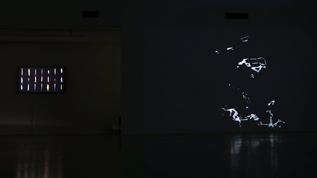 Light Waves video and sound art installation at Mt. San Jacinto College Art Gallery in California
