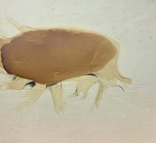 homologous animal ii