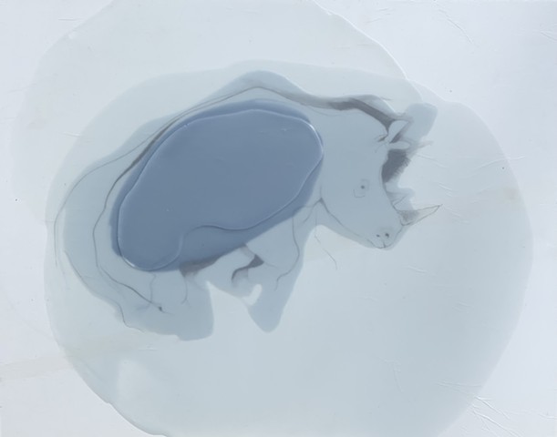  tetrapoda x/Diceros bicornis