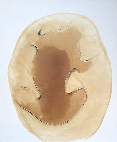 animus i