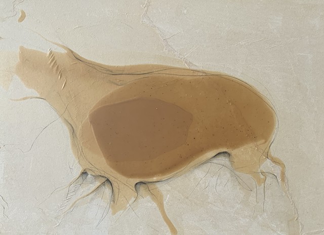 homologous animal iv