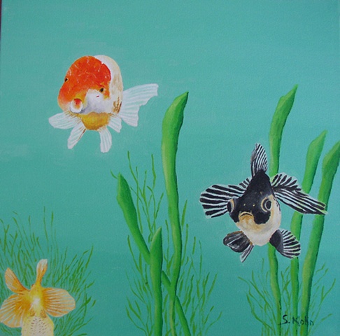 Goldfish No. 7