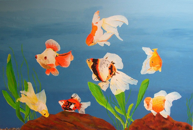 Goldfish No. 6