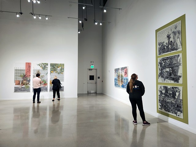 Rosemary Duffy Larson Gallery