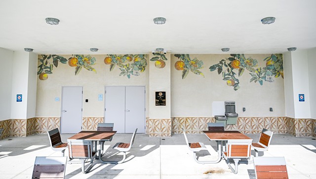 Wildflower Park, Boca Raton (East Wall)