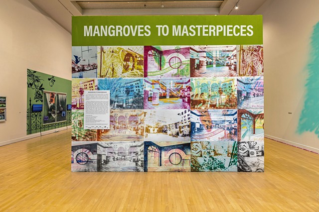 Mangroves to Masterpieces (Installation View)