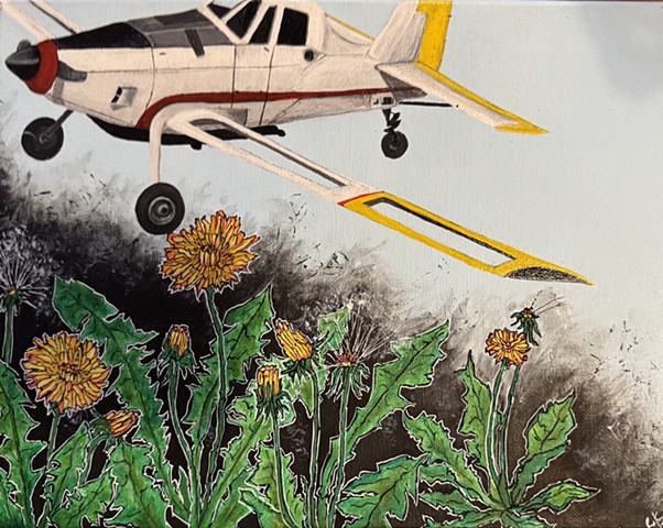 new flight plan - dandelions