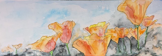 SOLD California poppies
