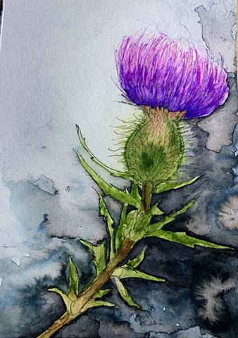 SOLD thistle