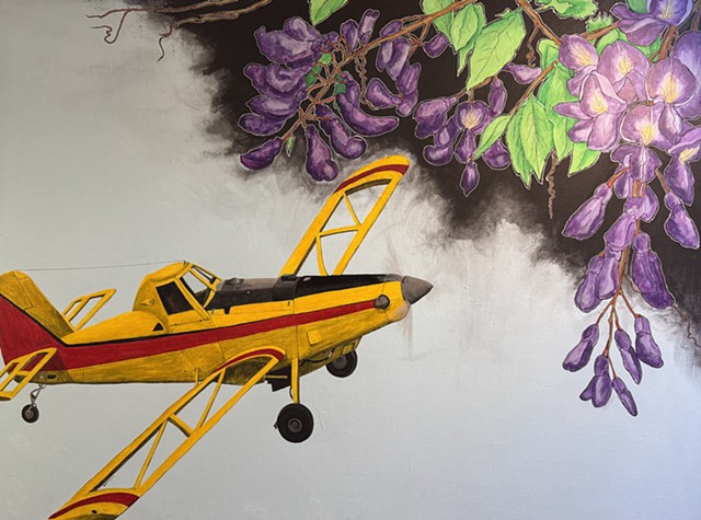 new flight plan - wisteria