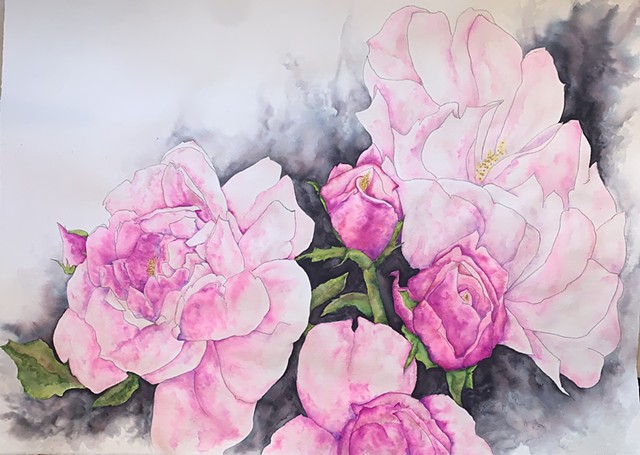 pink roses in various steps of bloom surrounded by dark clouds that situate the depth of the flowers off of the white paper