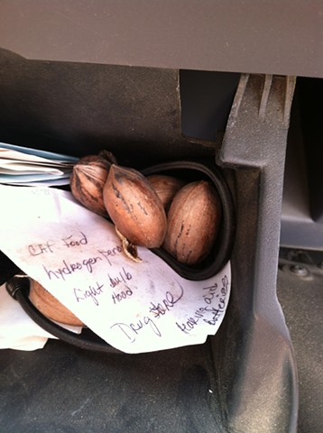 20. pecans and grocery list in my mom’s handwriting in glove compartment