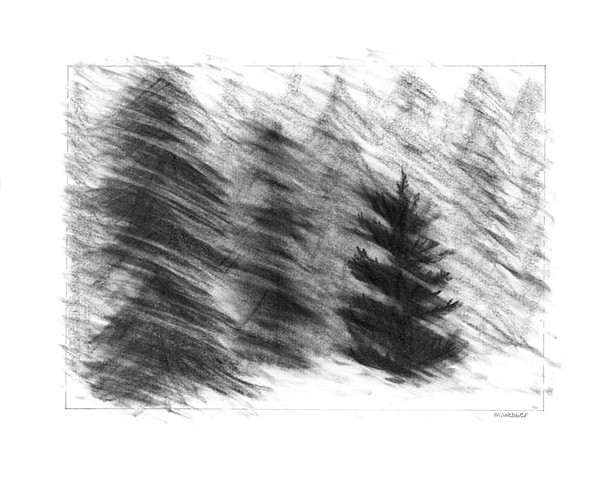 Marion Webber drawings, graphite, trees, grasses, landscape