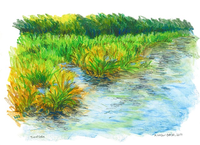 Oil pastel, graphite drawing, Marion Webber, landscape, water, trees, painting