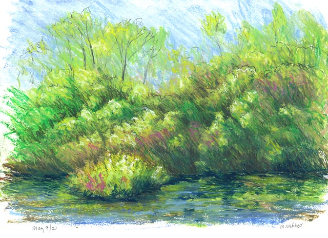 Oil pastel, graphite drawing, Marion Webber, landscape, water, trees, painting