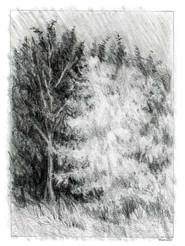 drawing, landscape, Marion Webber, BC, original art