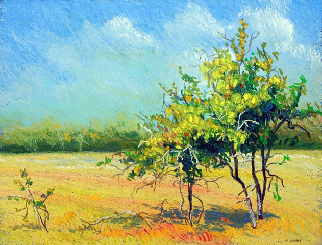oil pastel, marion webber art, landscape painting