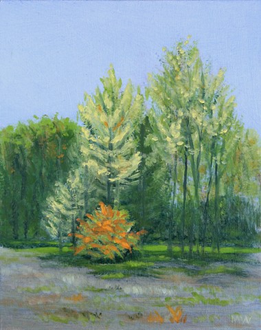 Marion Webber, oil painting, landscape