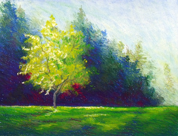 oil pastel