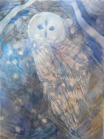 Barred Owl