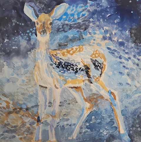 Fawn
