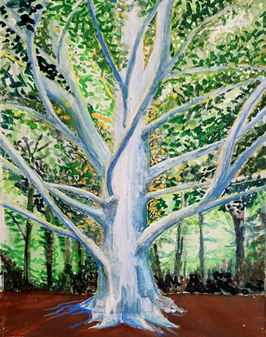 Ghost Beech