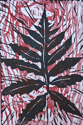 Fern study