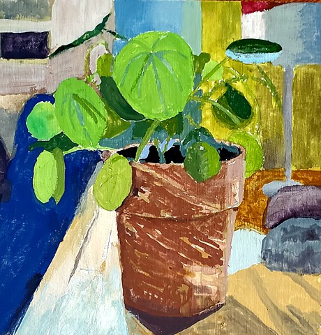 Still-Life with Pilea
