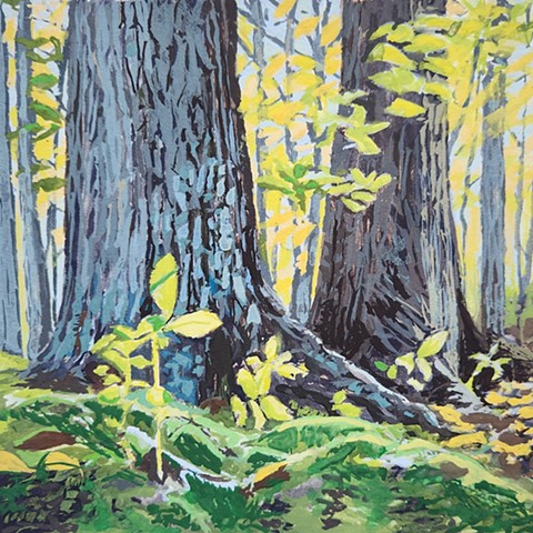 October Light