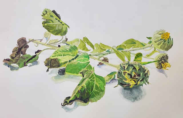 Sunflowers (Detail)