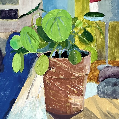 Still-Life with Pilea