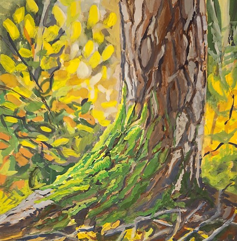 North-facing Moss
