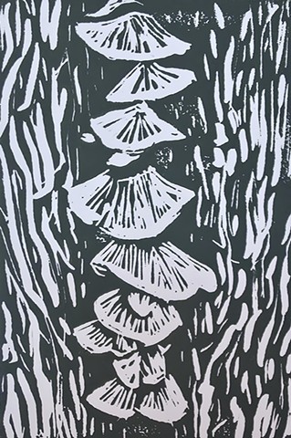 Mushroom Study