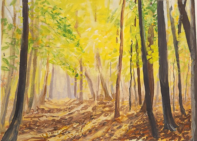 Autumn Trail in the Woods